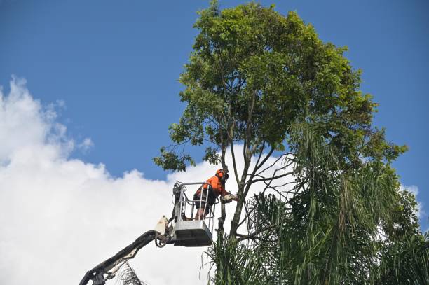 Lawn Watering Services in New Square, NY